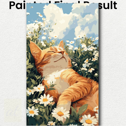 Daisy Dreams