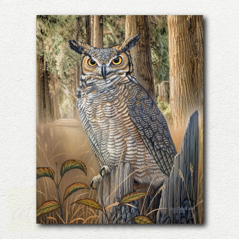 Great Horned Owl by Russ Duerksen