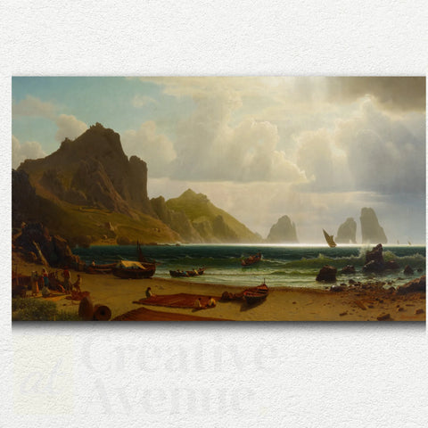 Harbor of Calm