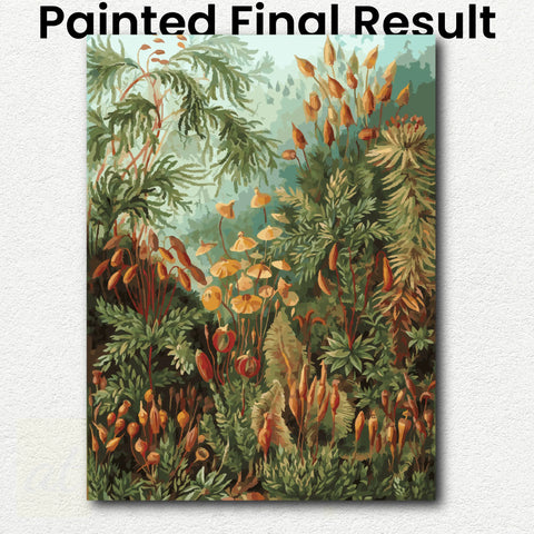Muscinae by Ernst Haeckel