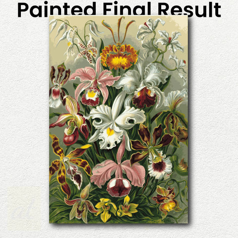 Orchidae by Ernst Haeckel