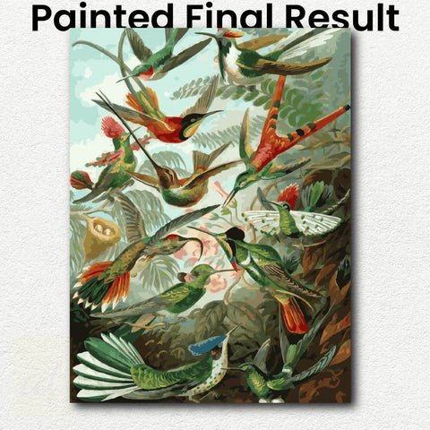 Trochilidae (Hummingbirds) by Ernst Haeckel