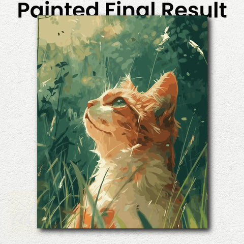 Wondering Orange Tabby