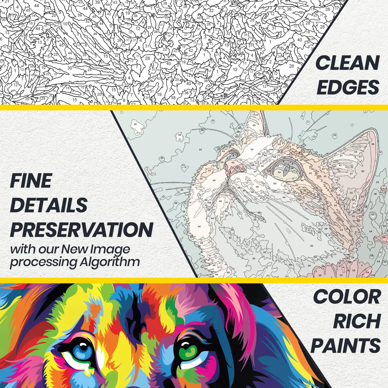 features f atcreativeavenue paint by number kits, clean edges, fine details preservation, color rich paints