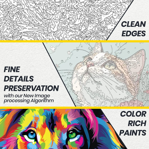 features f atcreativeavenue paint by number kits, clean edges, fine details preservation, color rich paints