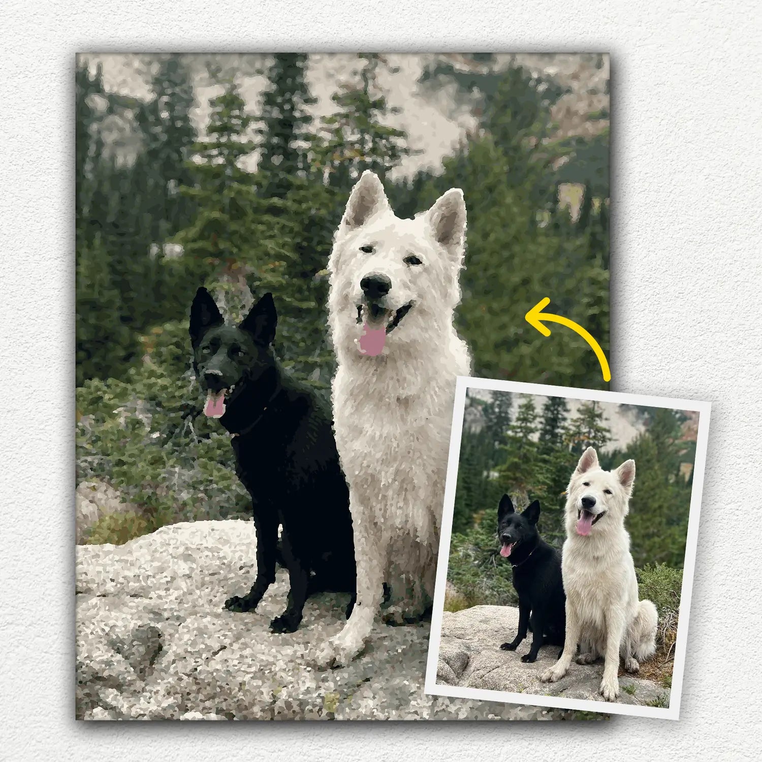 image of before and after for a custom paint by numbers kit painting with dogs.