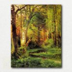 Forest Scene