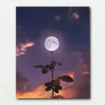 Moon is a Flower. Night Glow