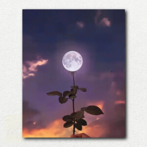 Moon is a Flower. Night Glow