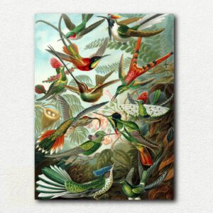 Scientific illustration of various colorful hummingbird species arranged in a decorative chart from Ernst Haeckel's Trochilidae painting design.