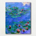 Red Water Lilies